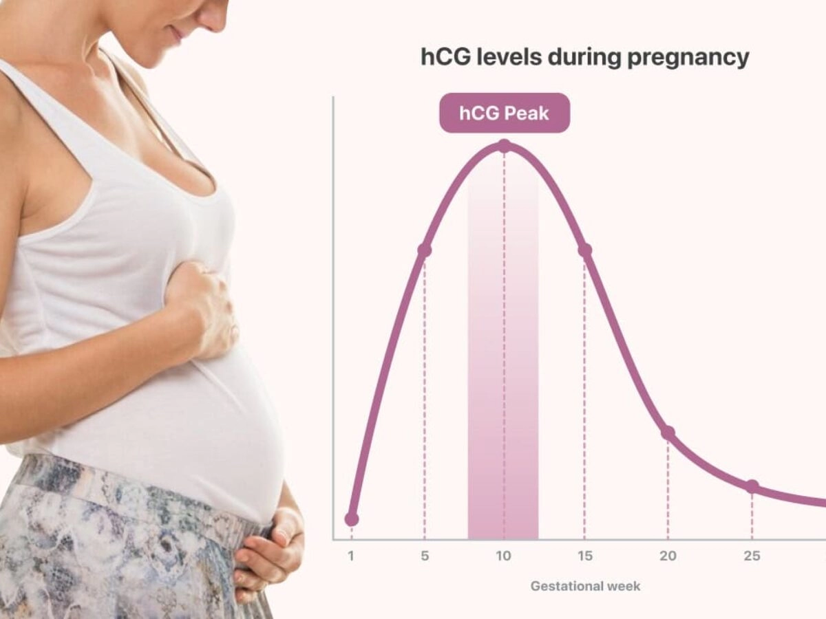 Human chorionic gonadotropin